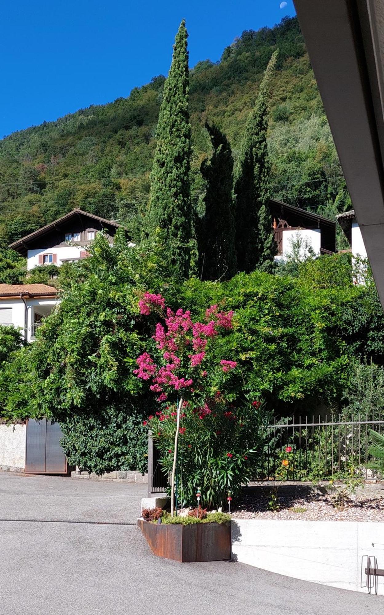 Marlingsuites - Vinea - Wieser Josef - Marling Bagian luar foto