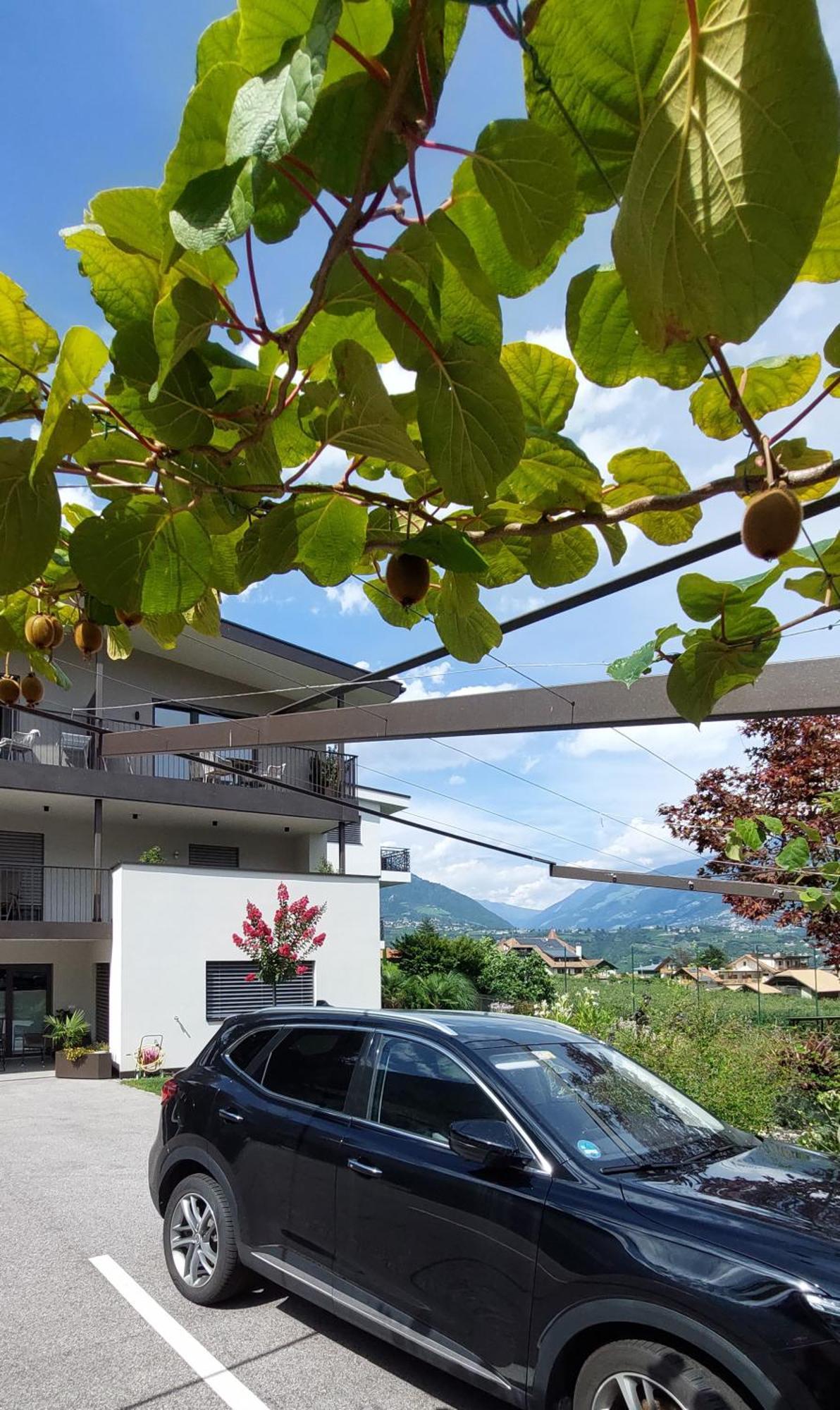 Marlingsuites - Vinea - Wieser Josef - Marling Bagian luar foto
