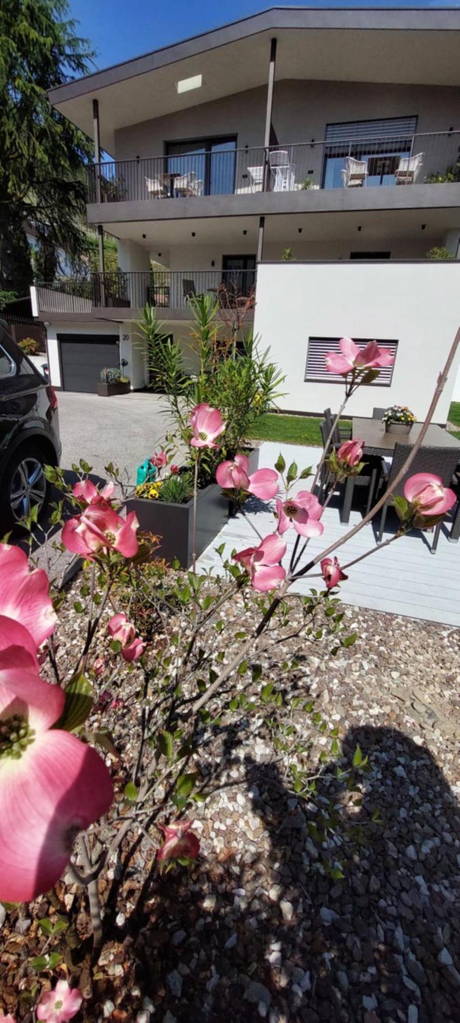 Marlingsuites - Vinea - Wieser Josef - Marling Bagian luar foto