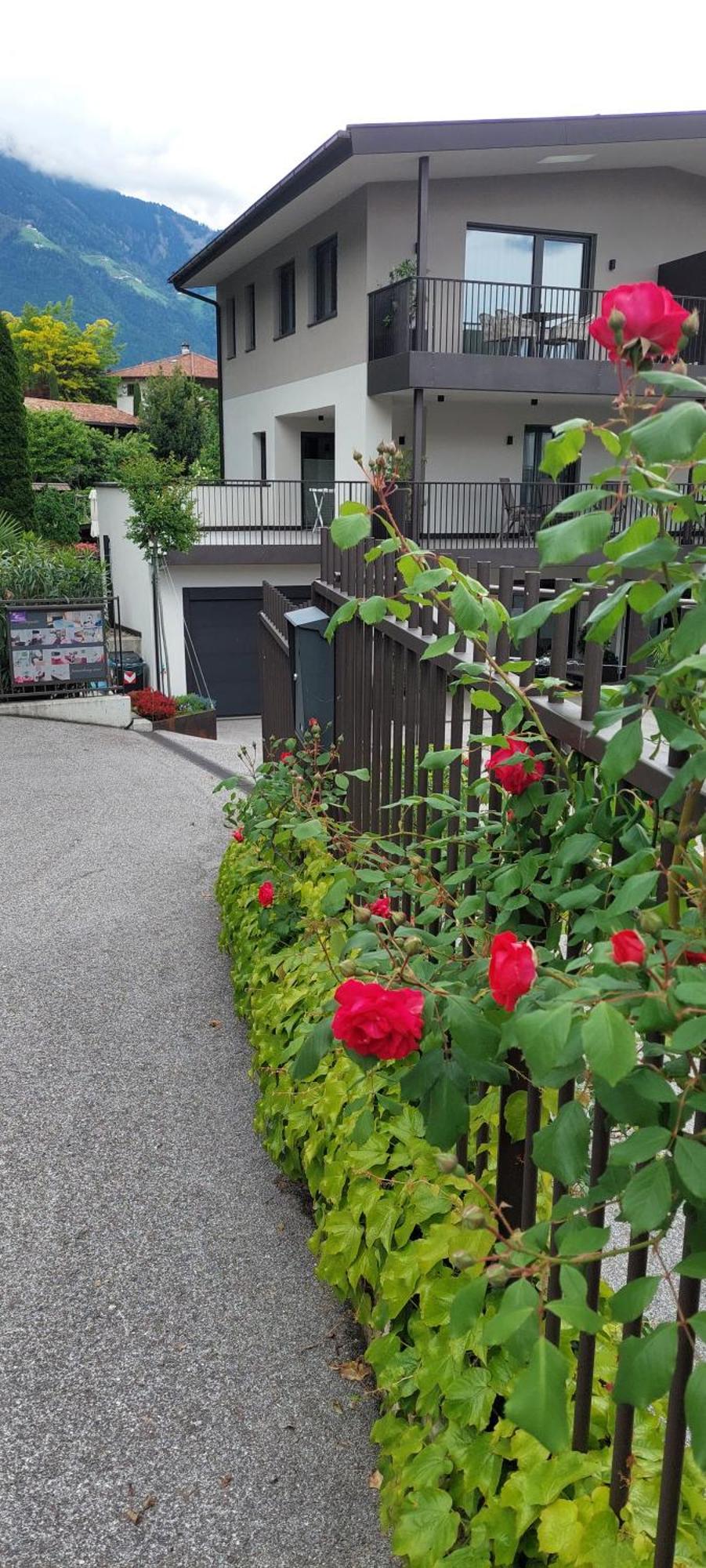 Marlingsuites - Vinea - Wieser Josef - Marling Bagian luar foto