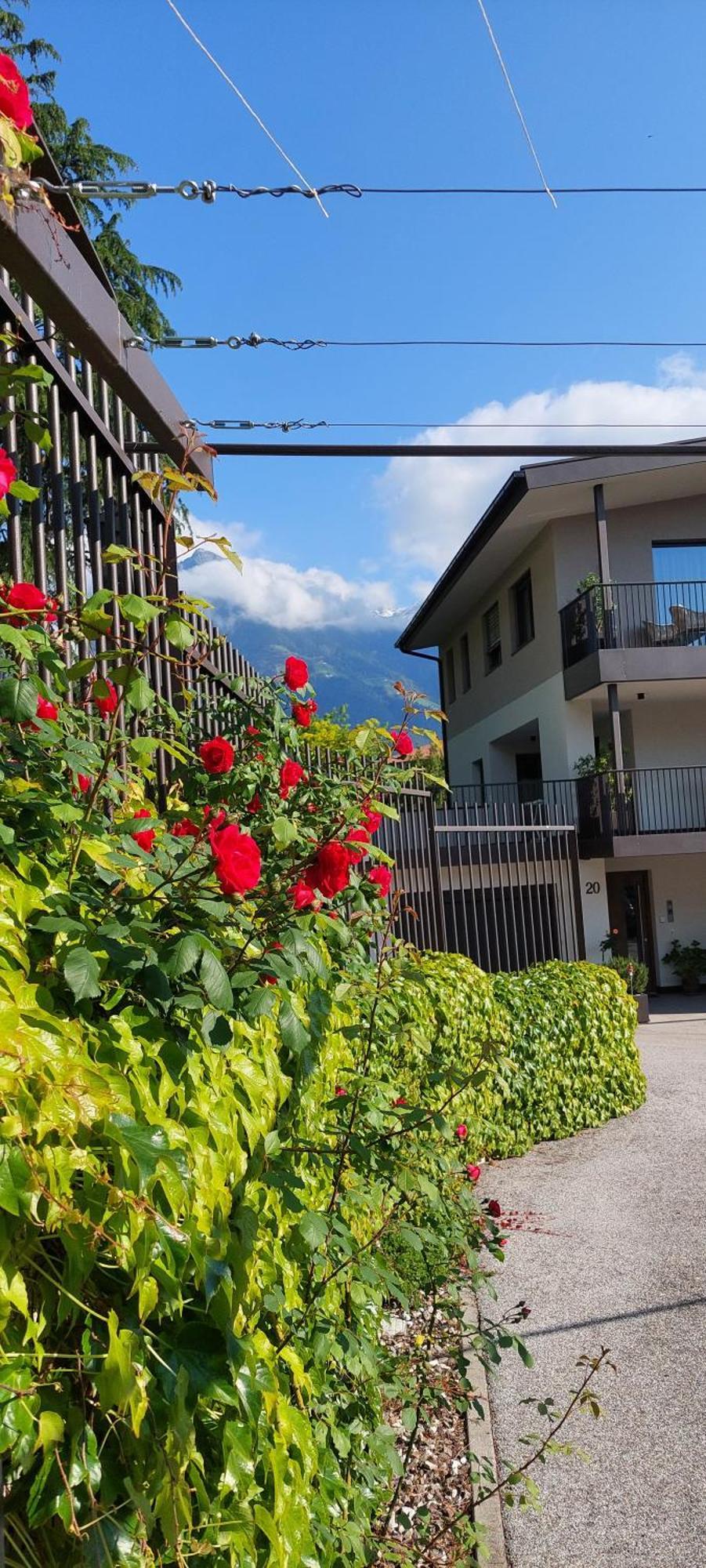 Marlingsuites - Vinea - Wieser Josef - Marling Bagian luar foto